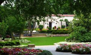 new garden auburitum