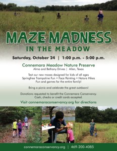 maze madness