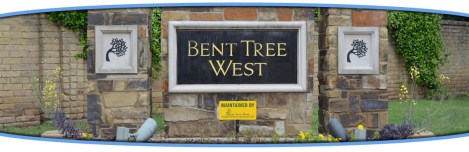 bent tree west